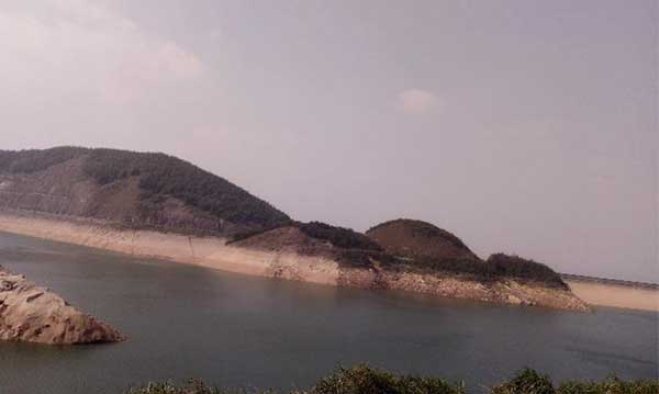 黑麋峰峰頂 綠樹蔥蔥，空氣都是甜的